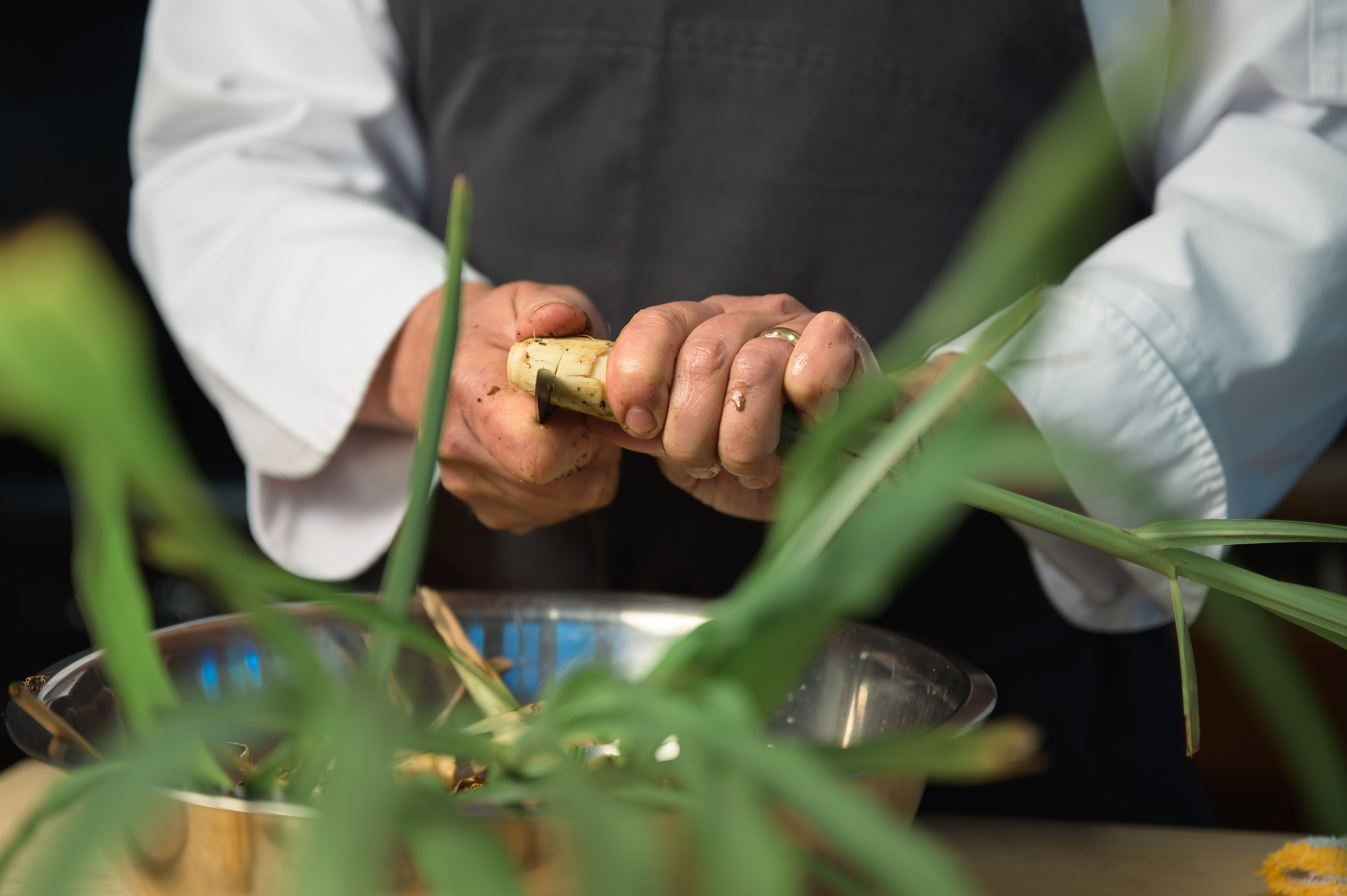 Cooking with Cakebread 2025: Food for the Wine-Lovers Soul
