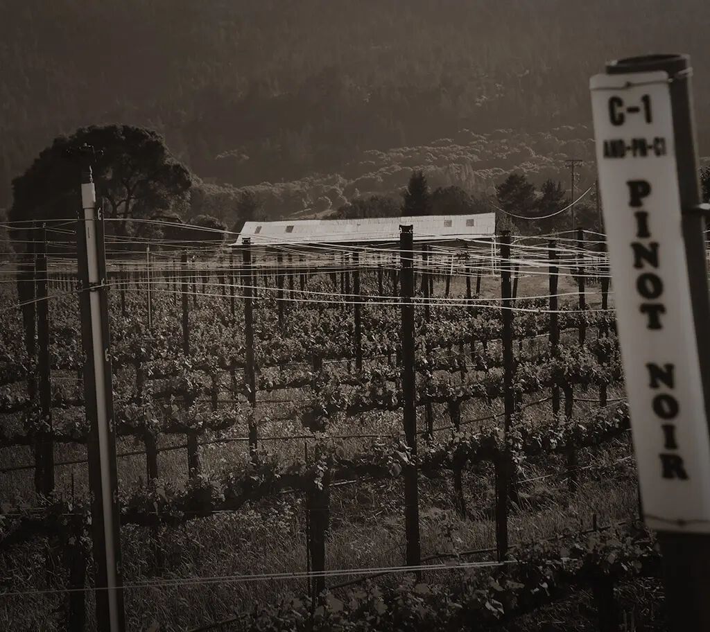 Photo from 1994