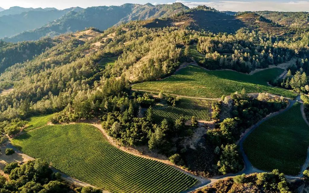 Photo of the Dancing Bear Ranch