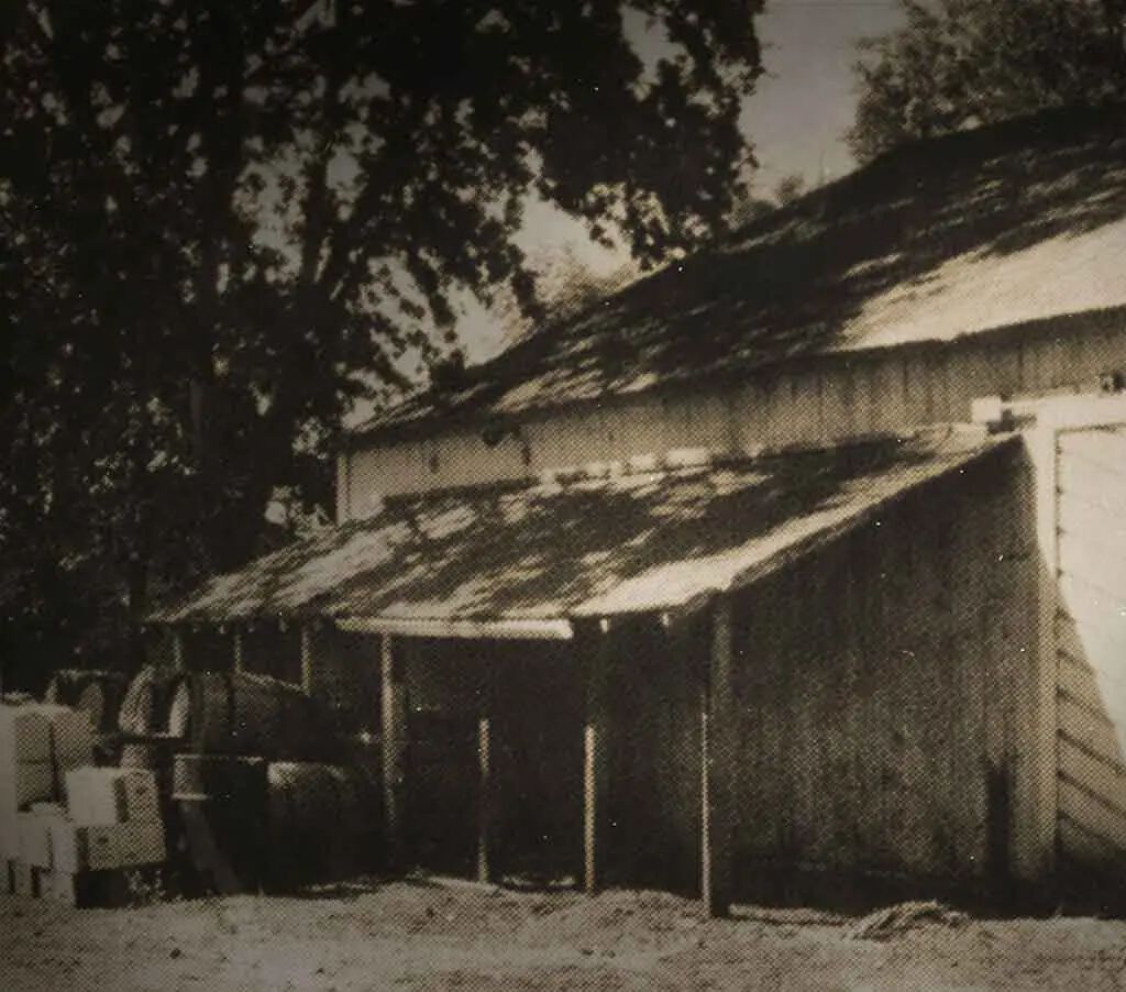 Photo from 1975