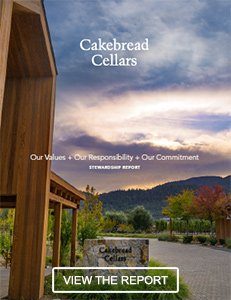 Stewardship Report View