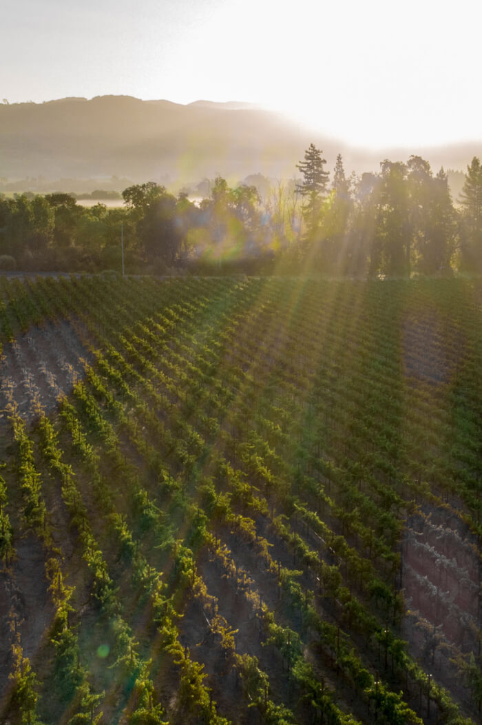 2019 Cabernet Franc Napa Valley