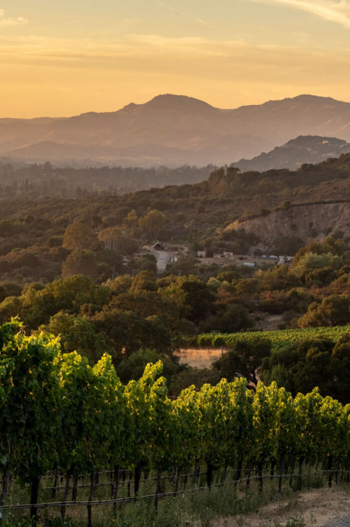 2022 Chardonnay Napa Valley