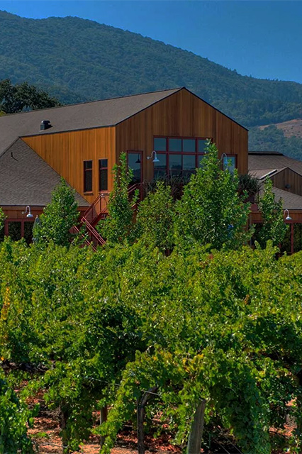 Hill Family Estate Releases Their 2021 Napa Valley Sauvignon Blanc! - Hill  Family Estate