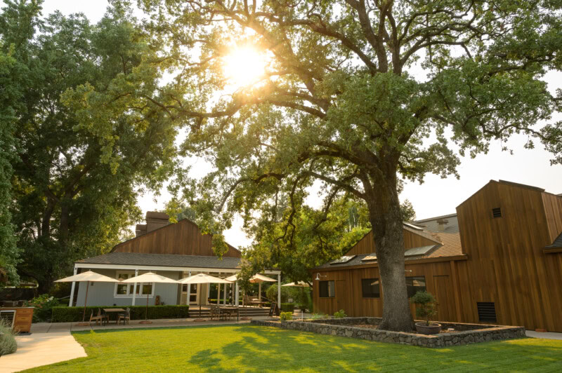 Exterior view of Cakebread Cellars wine cellars with lush green lawn and large trees in Napa Valley.