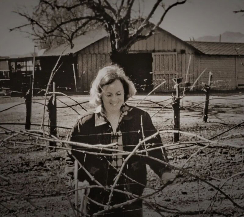 Jack Cakebread Our History - Cakebread Cellars