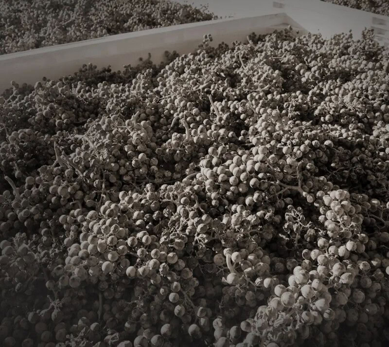 Our History - Cakebread Cellars